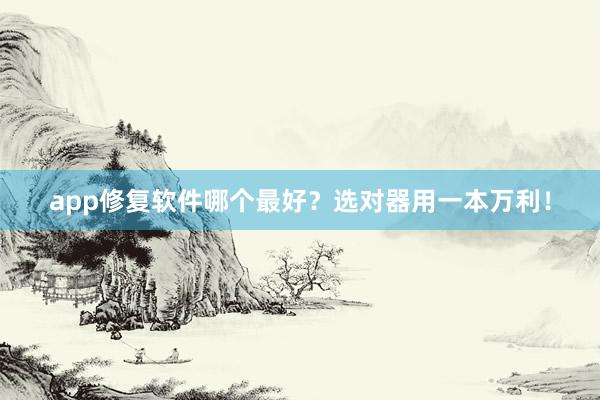 app修复软件哪个最好？选对器用一本万利！