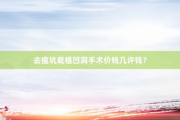 去痘坑栽植凹洞手术价钱几许钱？