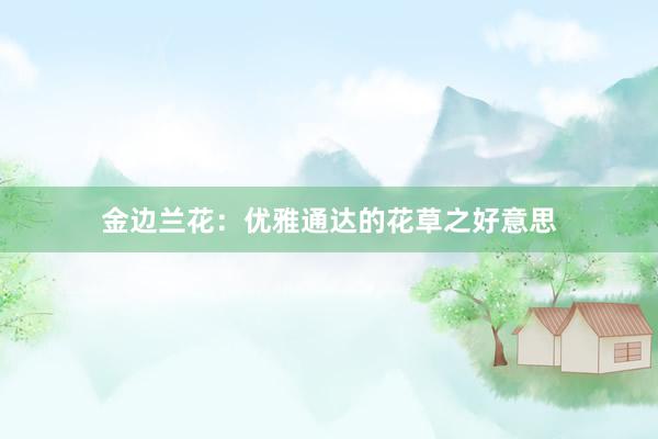 金边兰花：优雅通达的花草之好意思