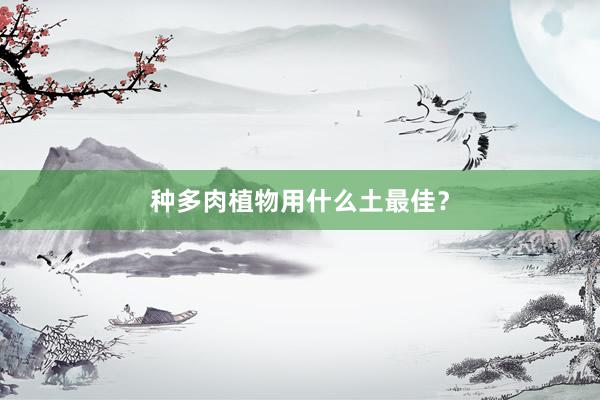 种多肉植物用什么土最佳？