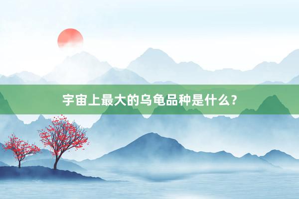宇宙上最大的乌龟品种是什么？