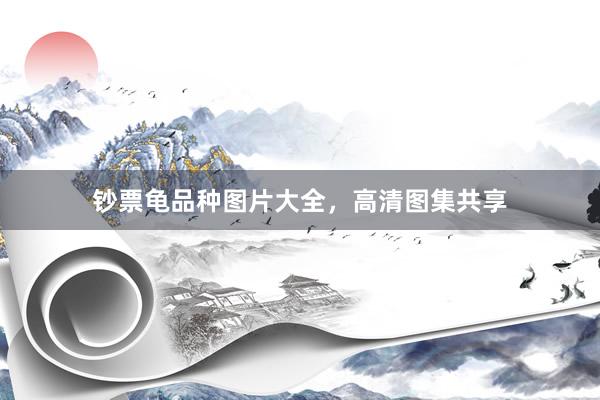钞票龟品种图片大全，高清图集共享
